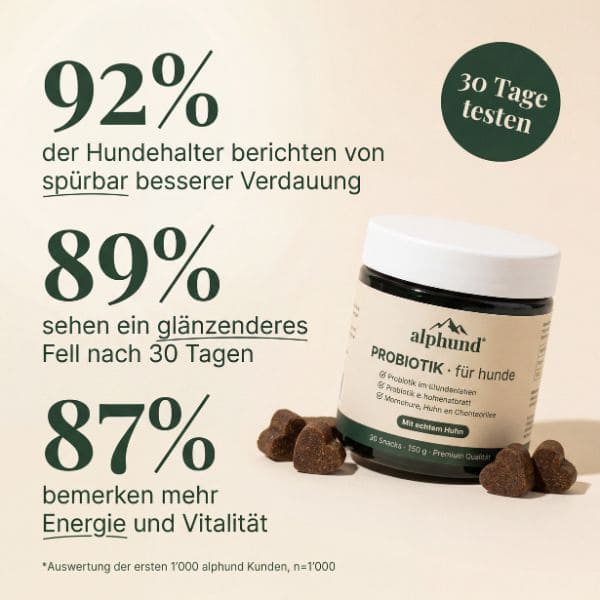 92% der Hundehalter berichten von besserer Verdauung mit Alphund Daily Chew