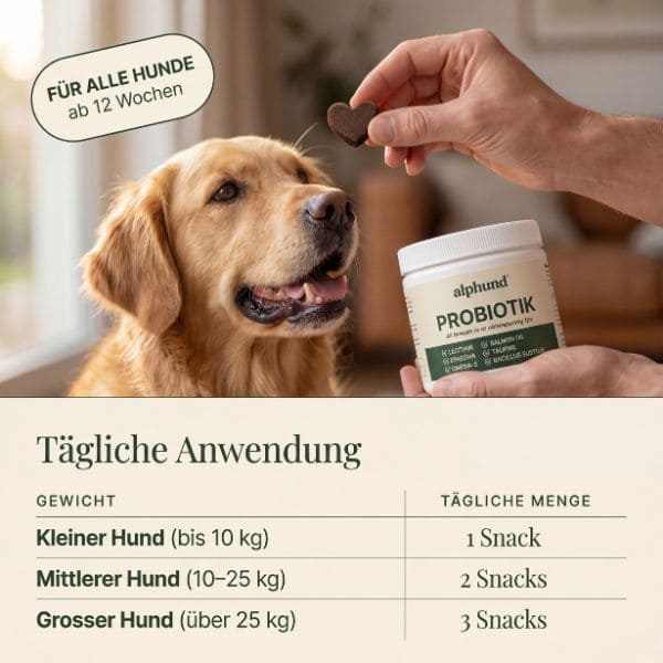 Tägliche Anwendung von Alphund Daily Chew für Hunde aller Grössen